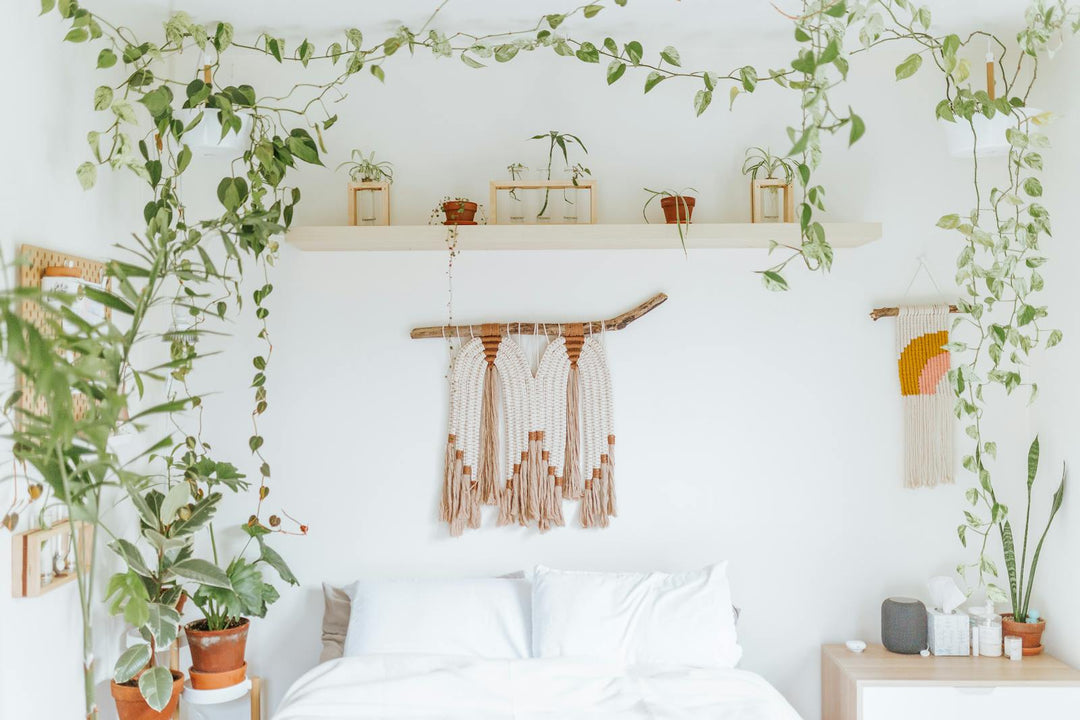 Bright white bedroom filled with trailing pothos, potted plants, and a woven macrame wall hanging