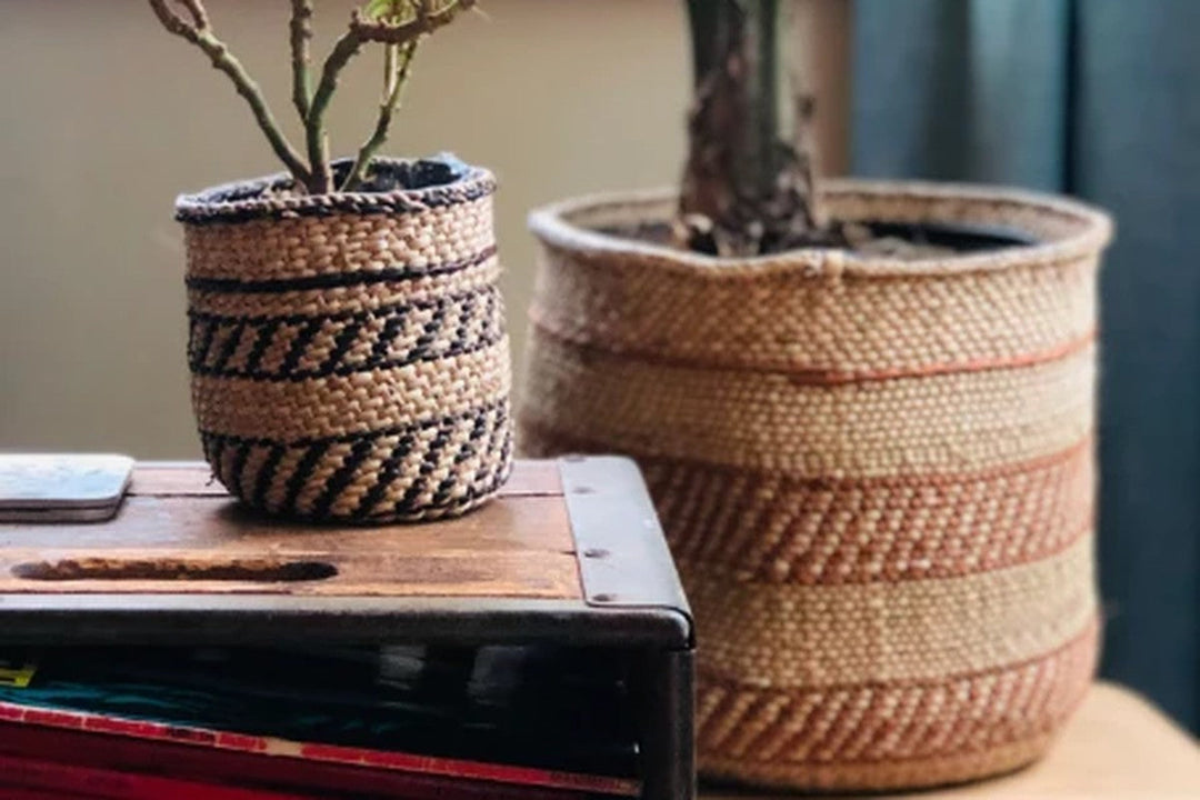 Two handwoven grass baskets used as planters, one striped in dark fibre and one in natural and rust bands.