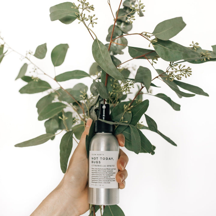 Natural insect repellent spray with essential oils in an aluminum bottle.