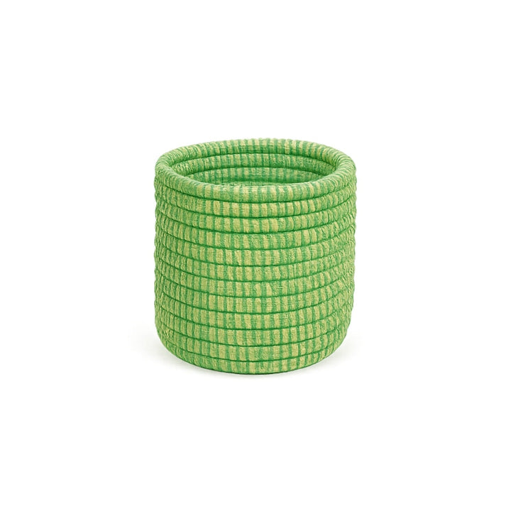 Handwoven basket planter with succulents, natural fiber weave.