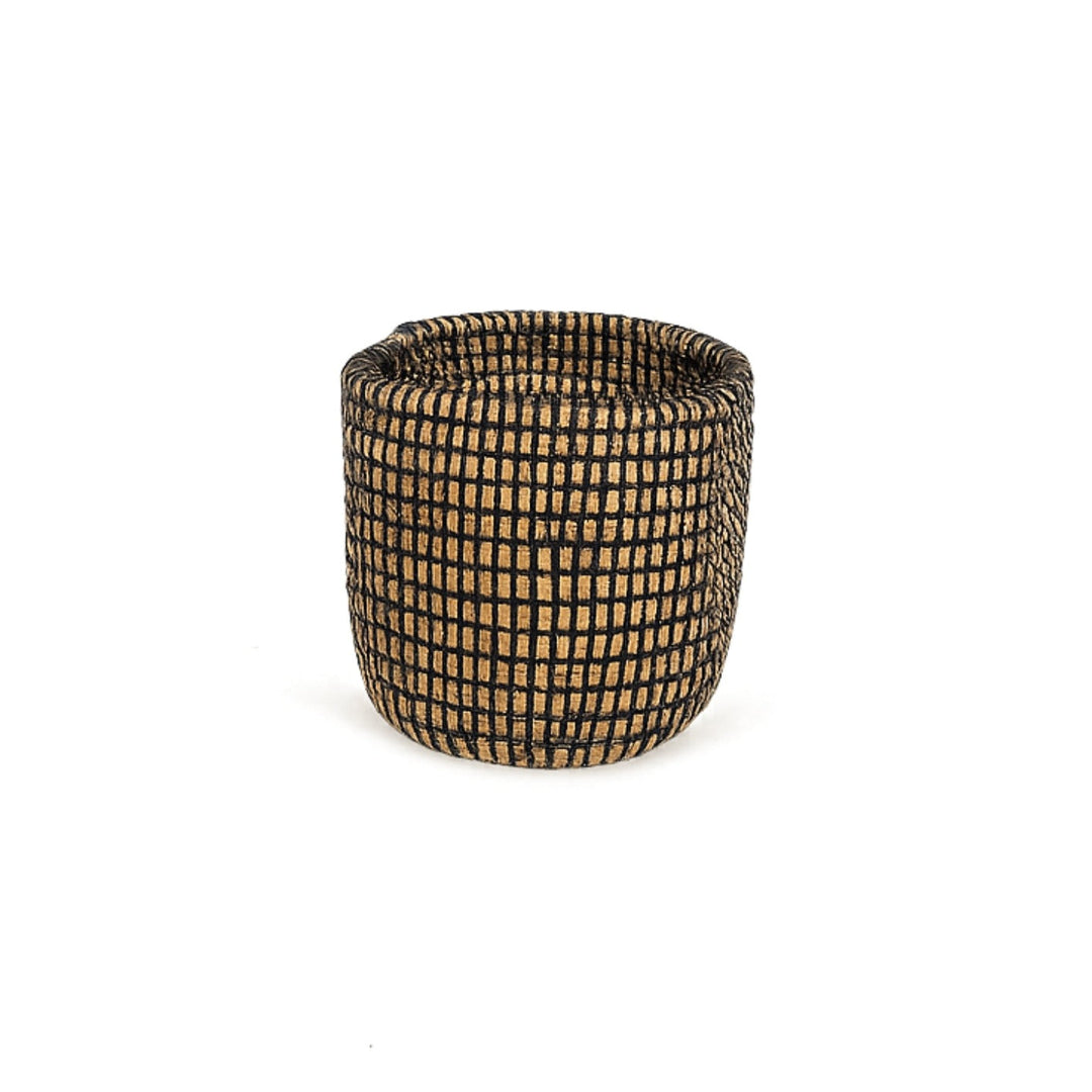 Rustic handwoven basket planter holding small succulents.