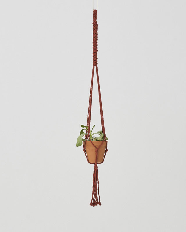 Tile-red Bluefields macrame plant holder with intricate knot detail and fringe.