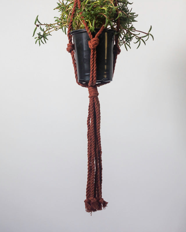 Tile-red Bluefields macrame plant holder with intricate knotwork.
