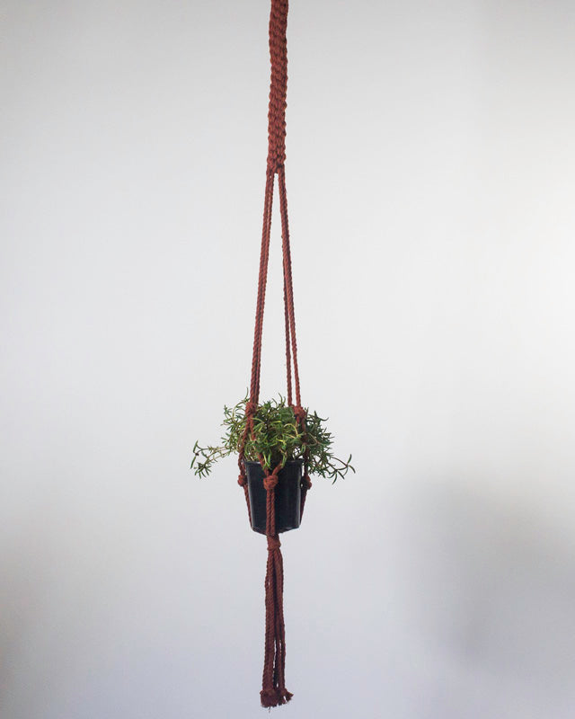 Tile-red Bluefields macrame plant holder for indoor or covered outdoor spaces.
