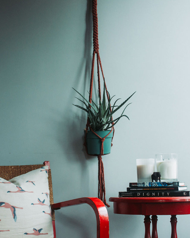 Tile-red Bluefields macrame plant holder with intricate knots and a hanging design.