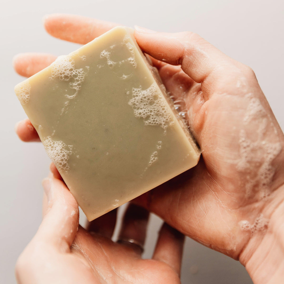 Bar soap surrounded by fresh eucalyptus leaves and dried lavender stems.
