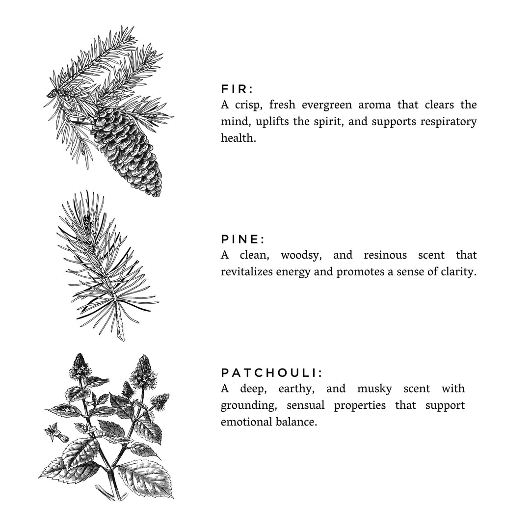 Forest Bathing diffuser with woody, evergreen scent profile and glass vessel.