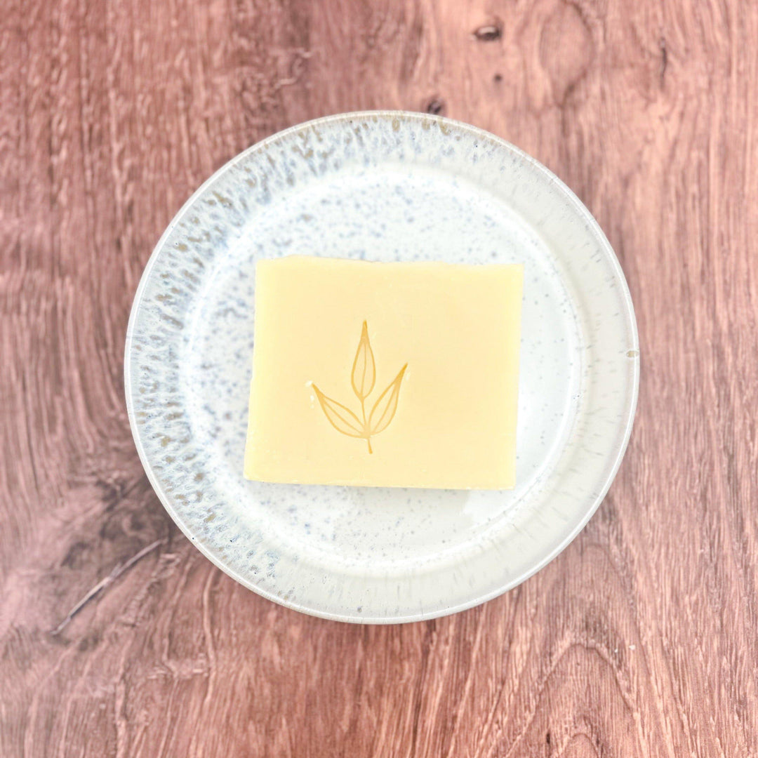 Pure castile solid dish soap bar with a textured surface.