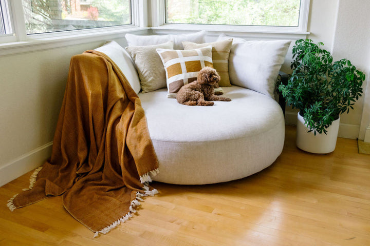 Bronze herringbone cotton throw draped over a round white sofa by a window, with a small dog and pillows.