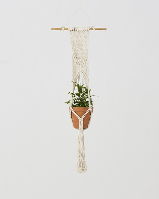 White macrame plant holder with intricate knotwork for a potted plant.