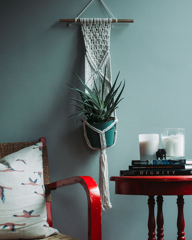 White macrame plant holder with intricate knotting, sized for a potted plant.