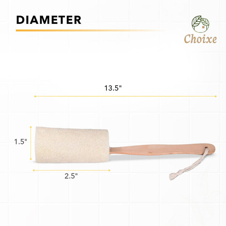 Natural loofah bath brush with long handle, showing the exfoliating textured surface for body cleansing.