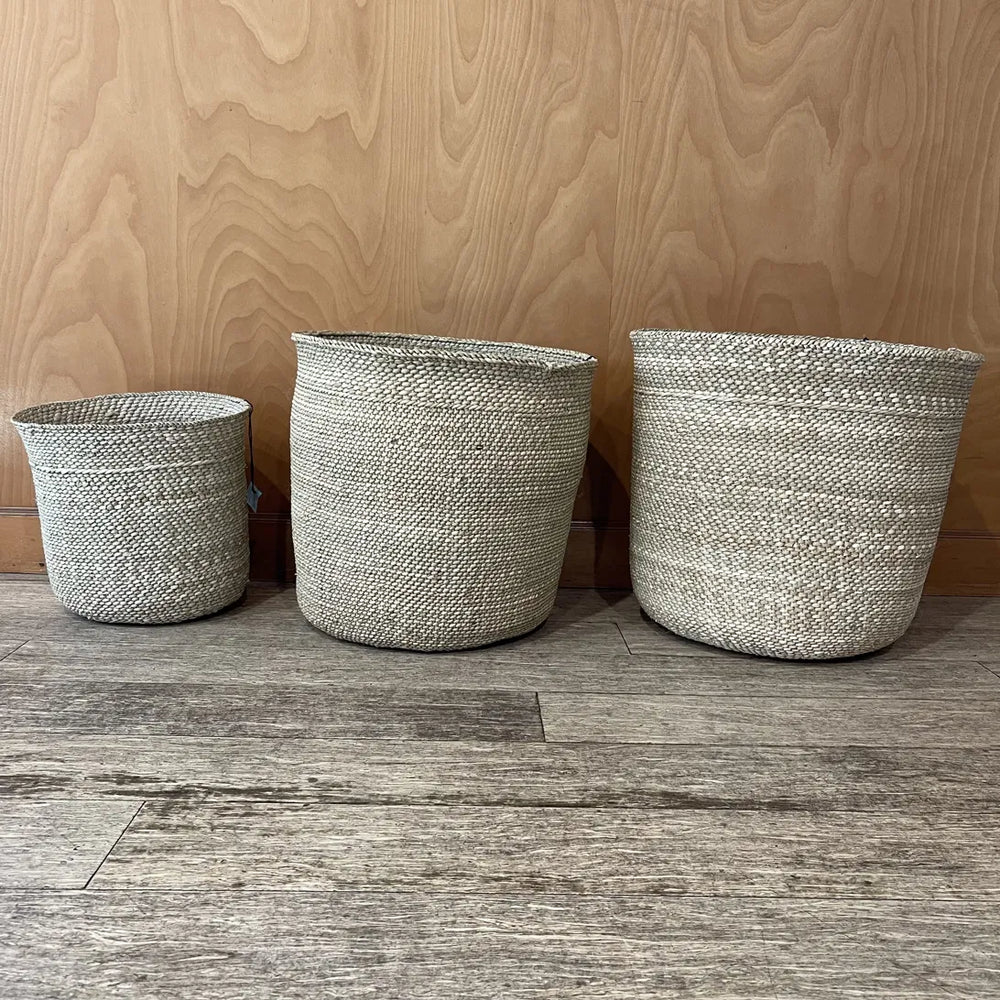 Three natural milulu grass baskets in medium, large and extra large lined up against a plywood wall