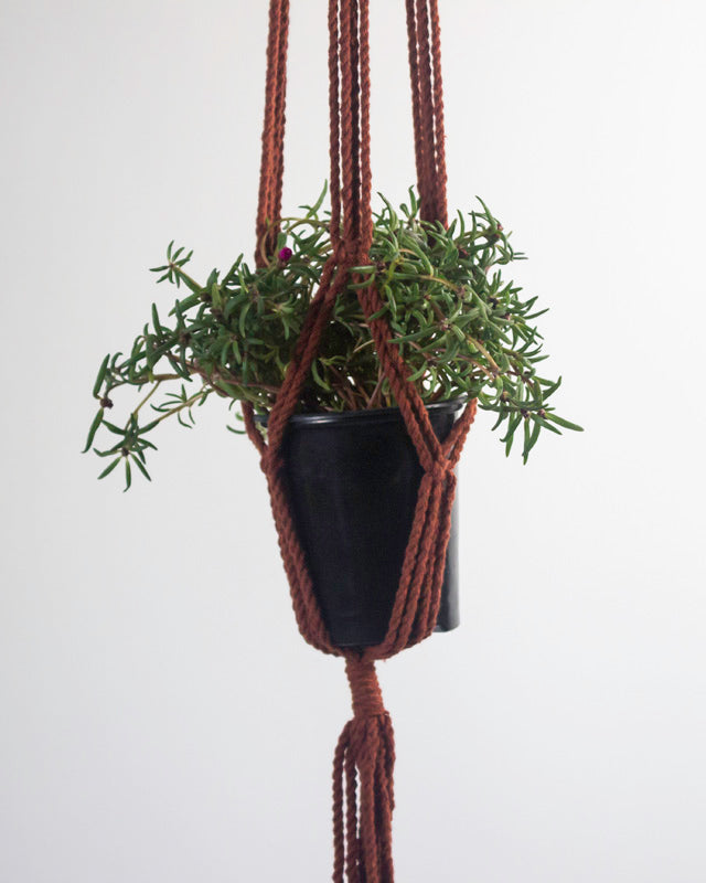 Tile-red Santana macrame plant holder with an intricate knotted design.