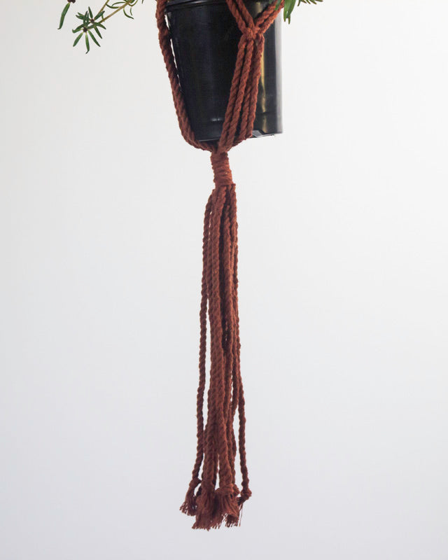 Tile-red Santana macrame plant holder with intricate knots, hanging.