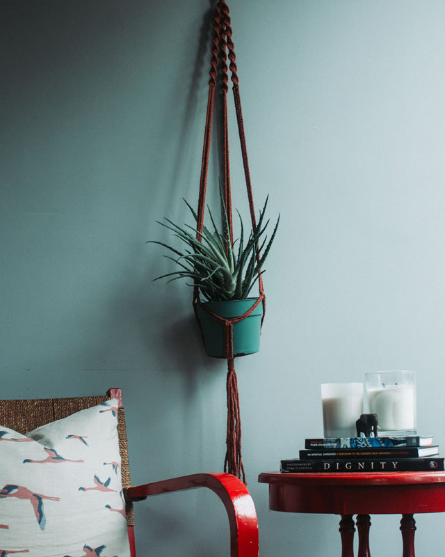 Tile-red Santana macrame plant holder with intricate knot detail.