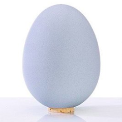 Egg-shaped porcelain salt shaker with a cork top, clean minimalist design.