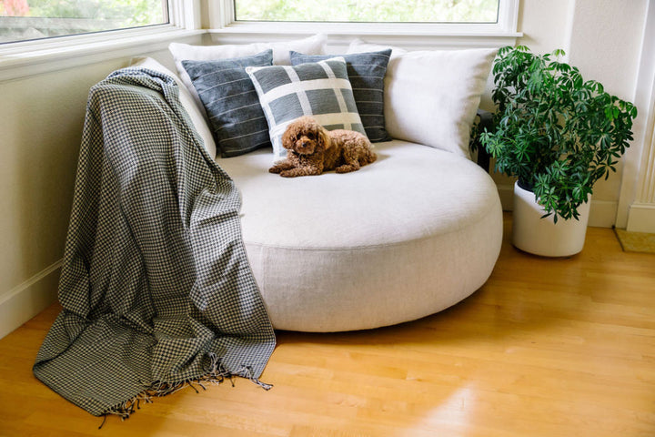 Slate pinwheel cotton throw draped over a round white sofa by a window, with patterned pillows and a small dog.