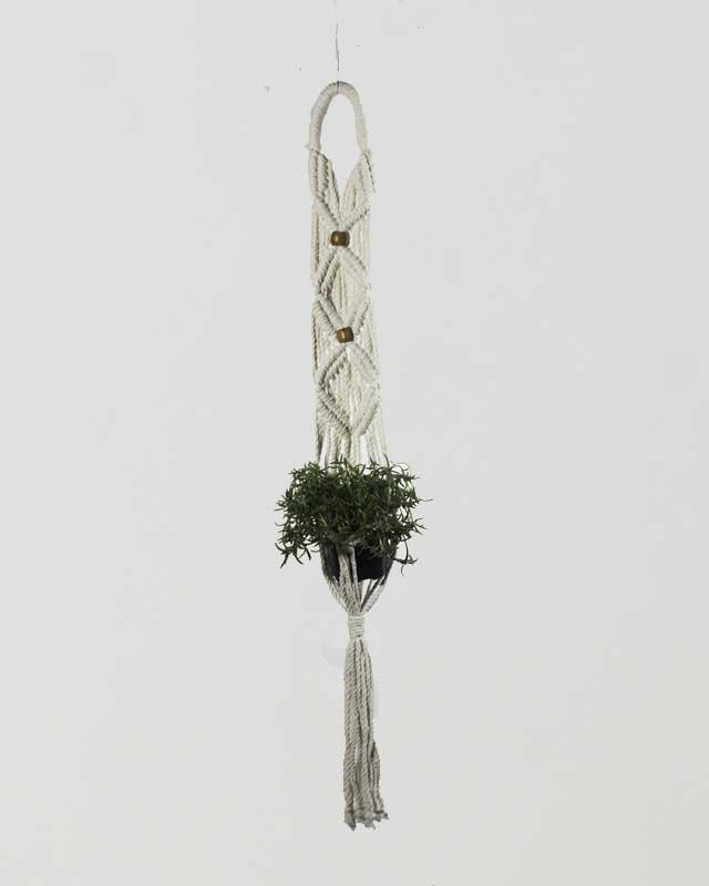 Natural white macrame plant holder with intricate knotting for a hanging plant.