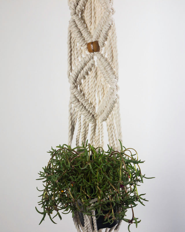 White macrame plant holder with an intricate knotted design for indoor plants.