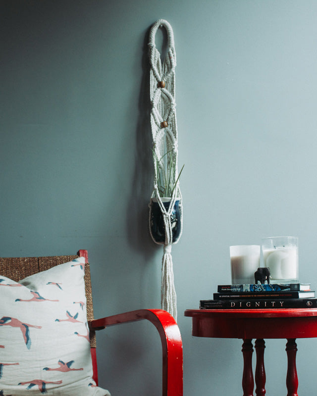 White macrame plant holder with an intricate knot design for a potted plant.