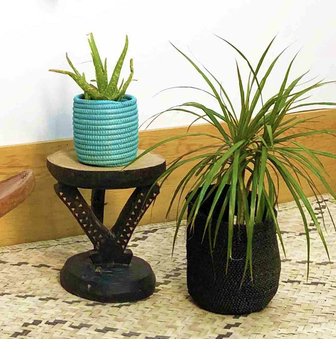 Handwoven basket planter with green succulents inside.