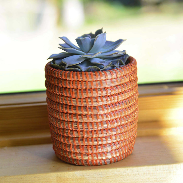 Handwoven succulent basket planter in a natural woven finish.