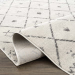 Load image into Gallery viewer, Tigrit 2336 Trellis Area Rug - Clearance - Bush &amp; Briar

