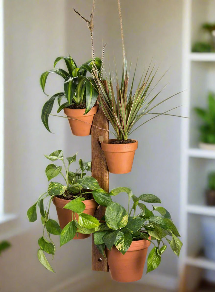 Acacia wood hanging plant holders arranged for six pots, indoor or outdoor.