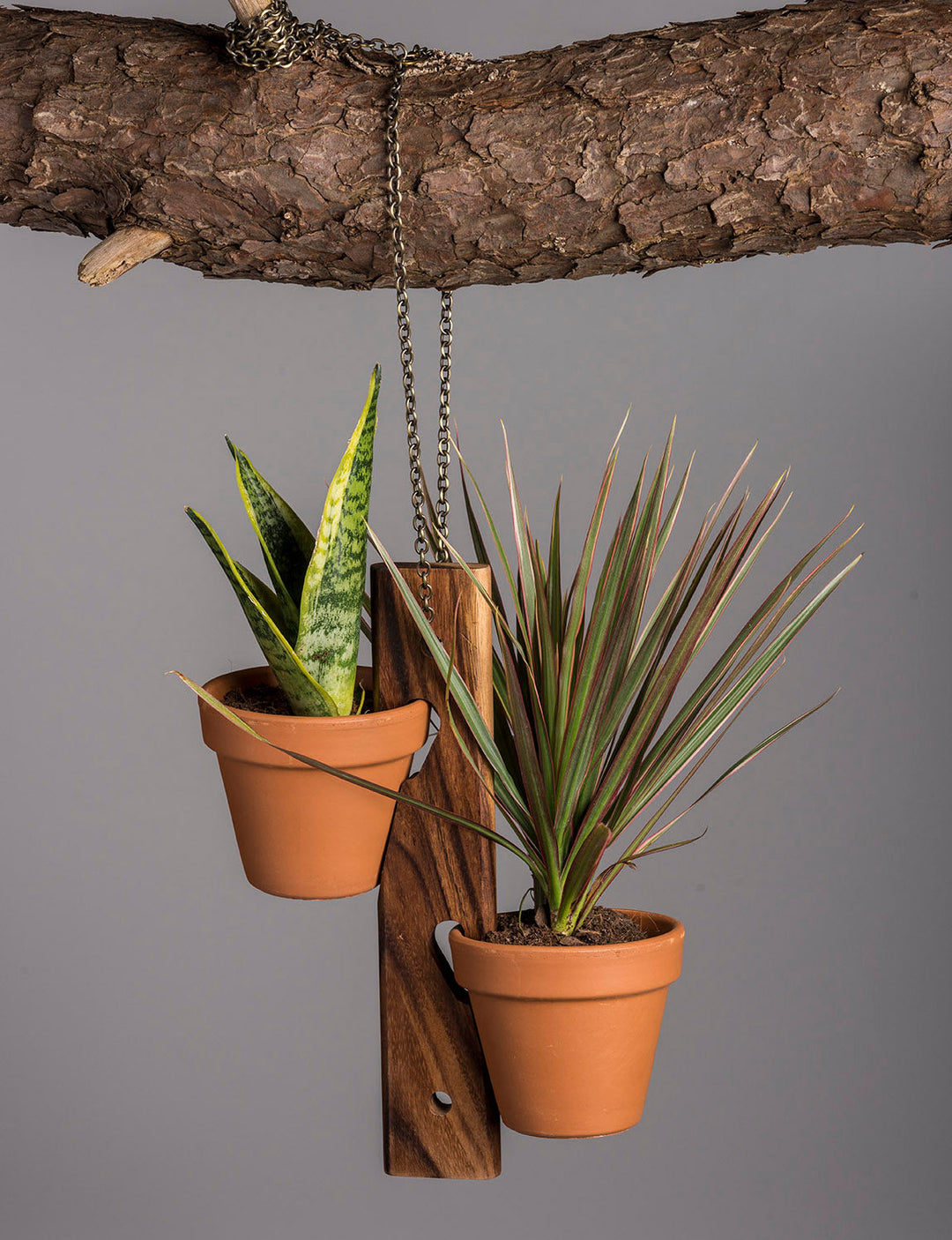 Set of three acacia wood hanging plant holders for six pots, vertical display.