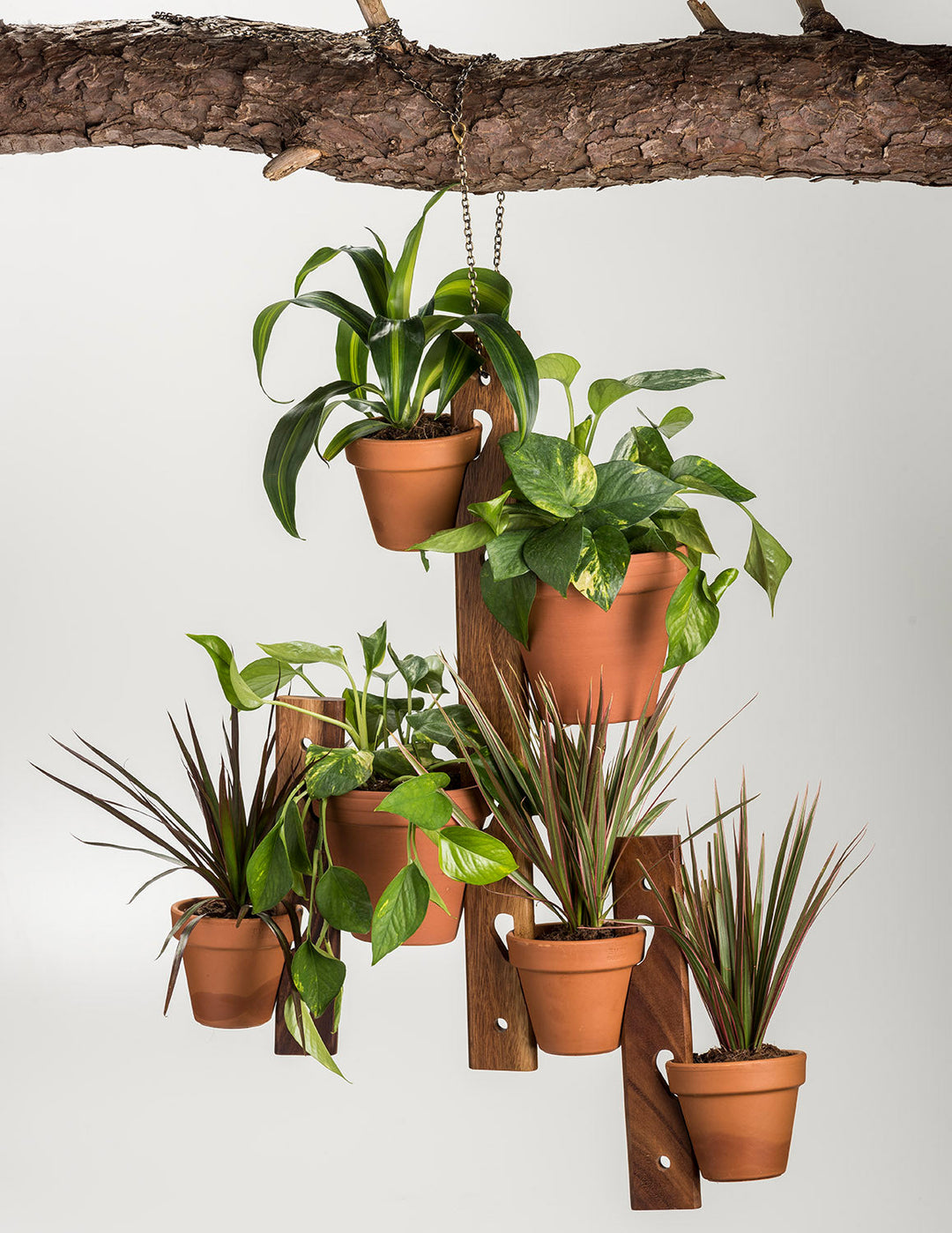 Three acacia wood hanging plant holders holding six pots for home or garden.