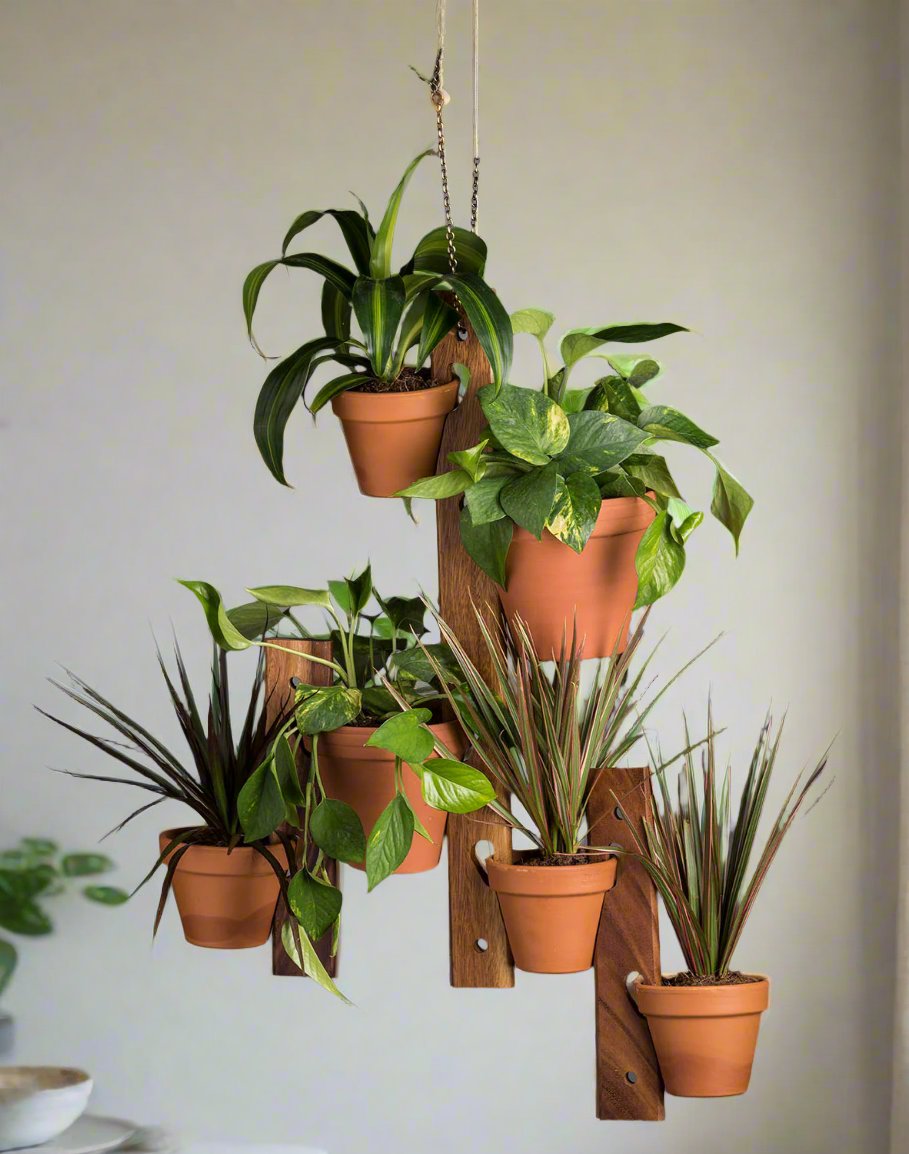 Six-pot acacia wood hanging plant holder set with a natural wood finish.