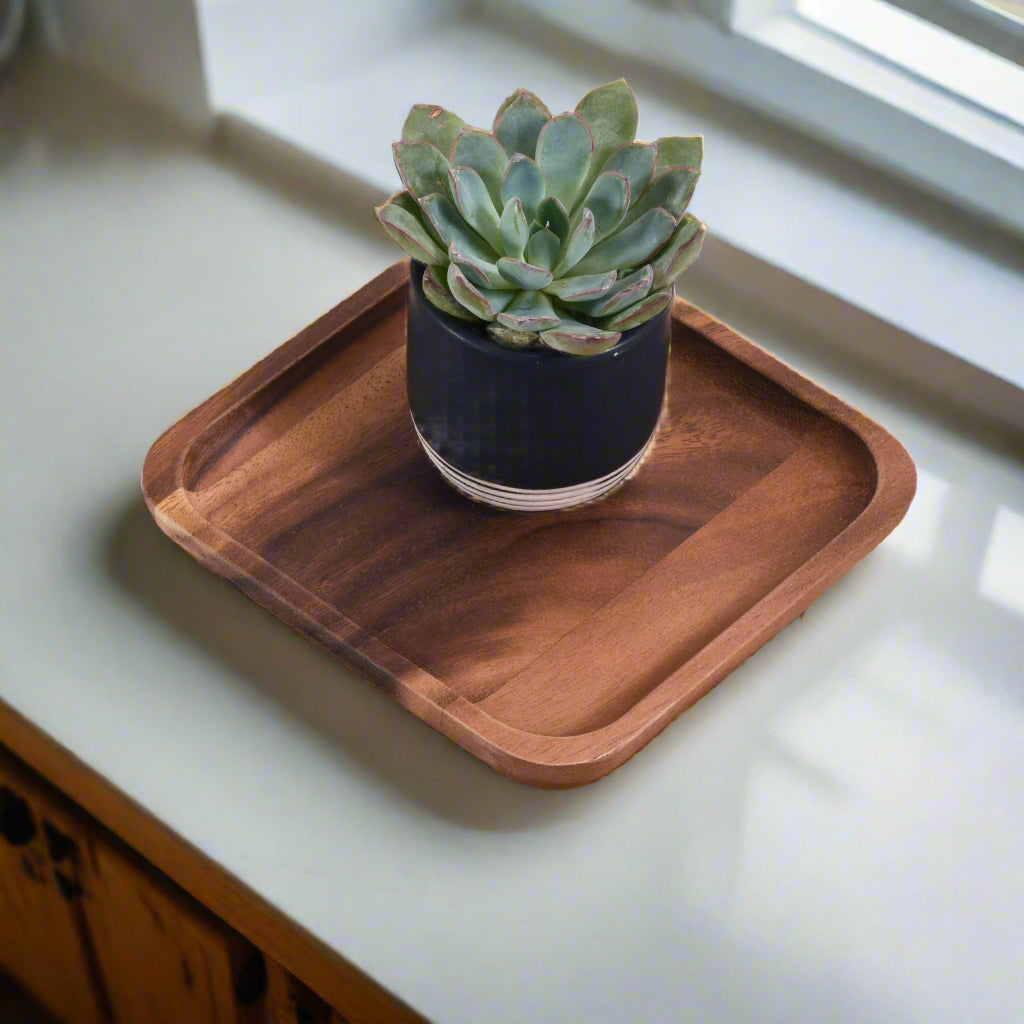 Set of two acacia wood square plates with smooth edges, for serving and dining.