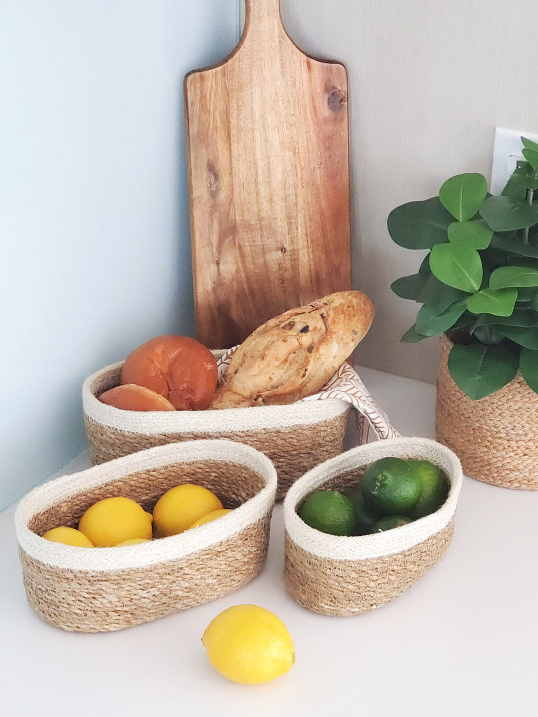 Set of three DC-KORISSA oval storage baskets made of seagrass, natural woven baskets for organization and decor.
