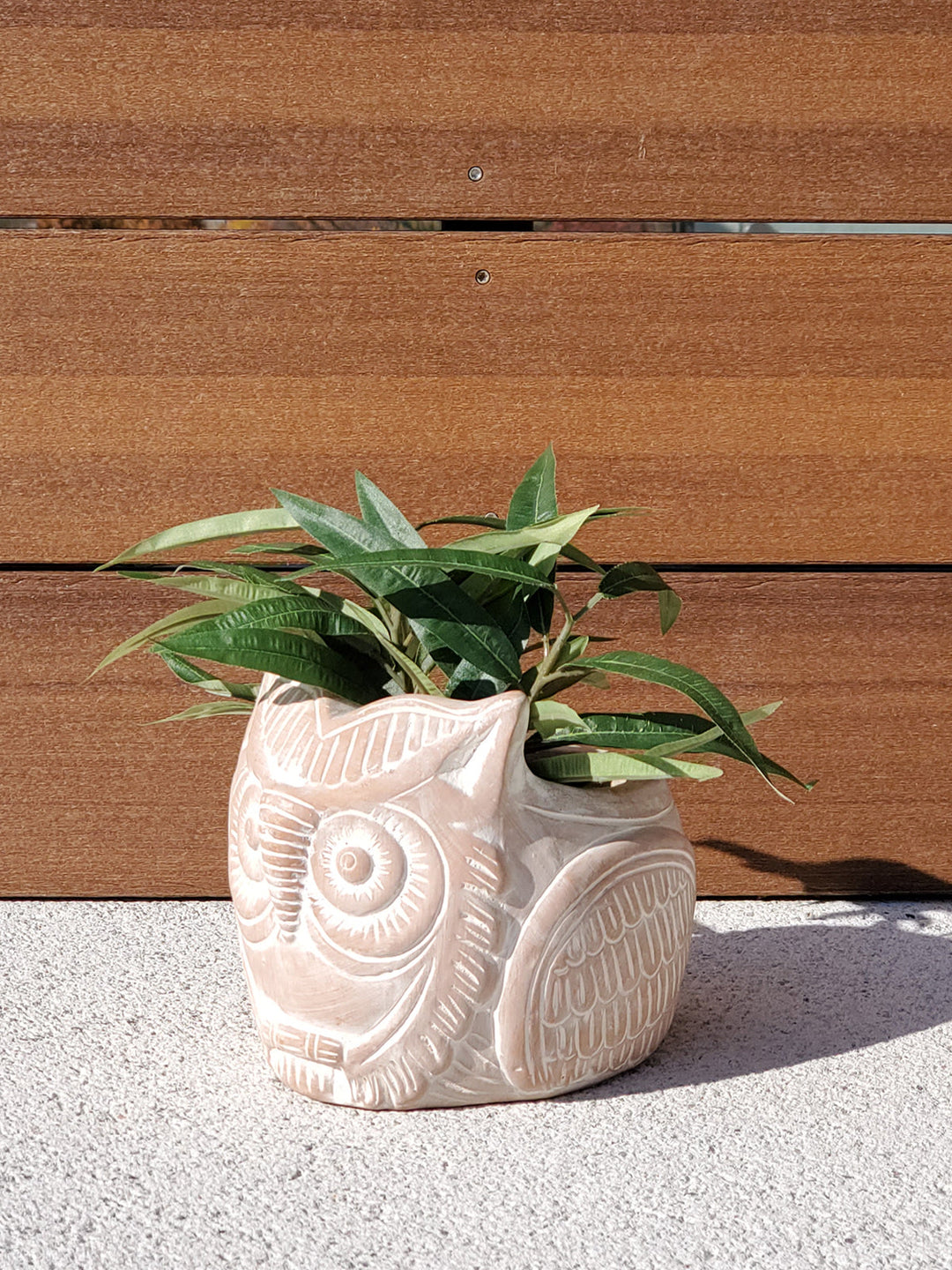 Horned owl terracotta planter with a rustic finish