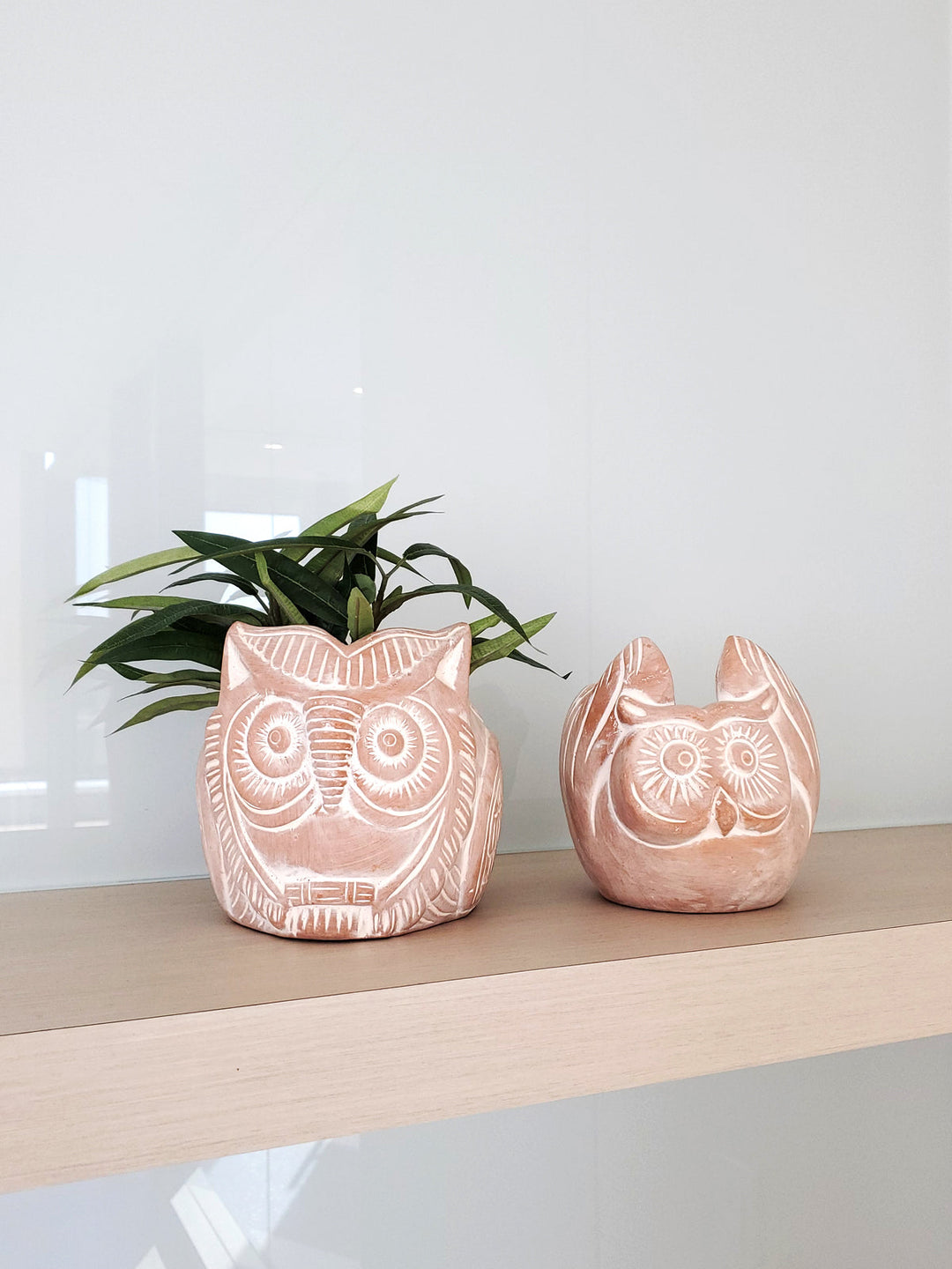Terracotta horned owl planter with an earthy natural finish