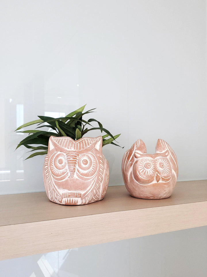 Terracotta horned owl planter with an earthy natural finish
