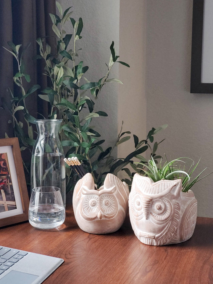 Horned owl terracotta planter for indoor or outdoor plant displays