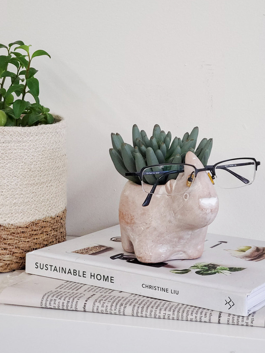 Rhino terracotta planter for indoor or outdoor plant display, handmade clay