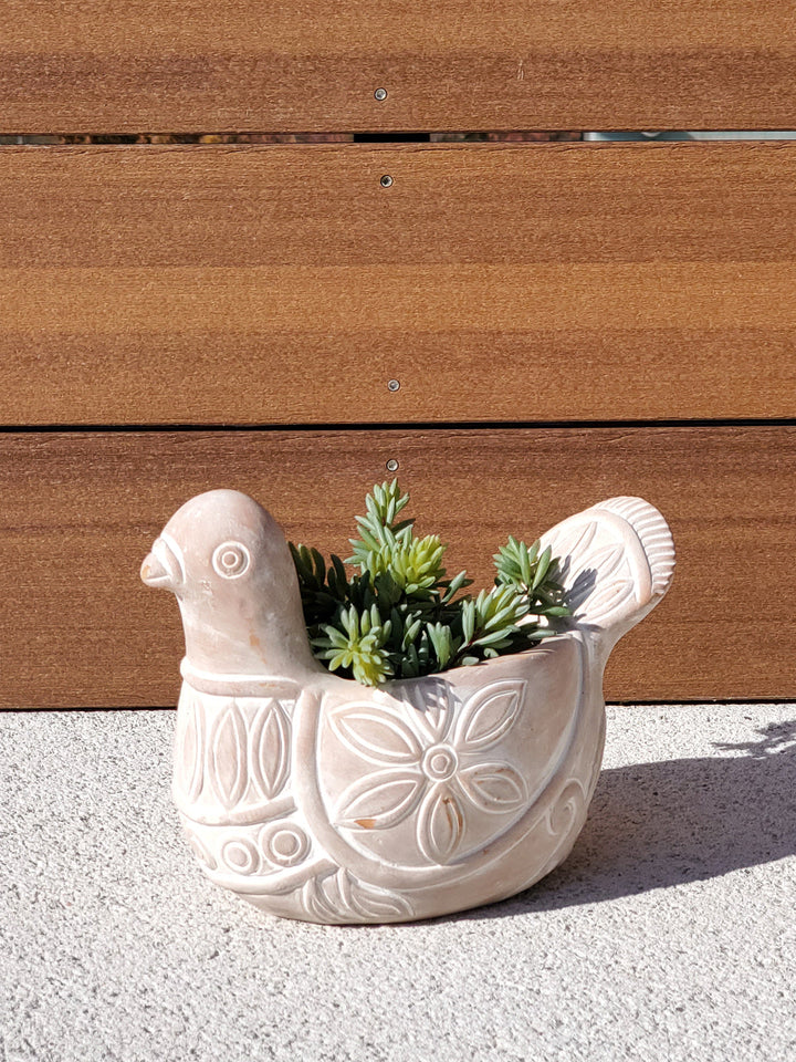 Spotted dove terracotta planter with a rounded shape