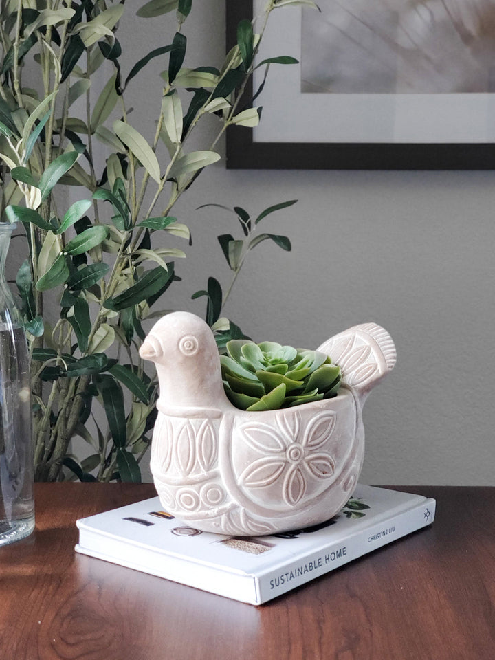 Spotted dove terracotta planter with a textured surface