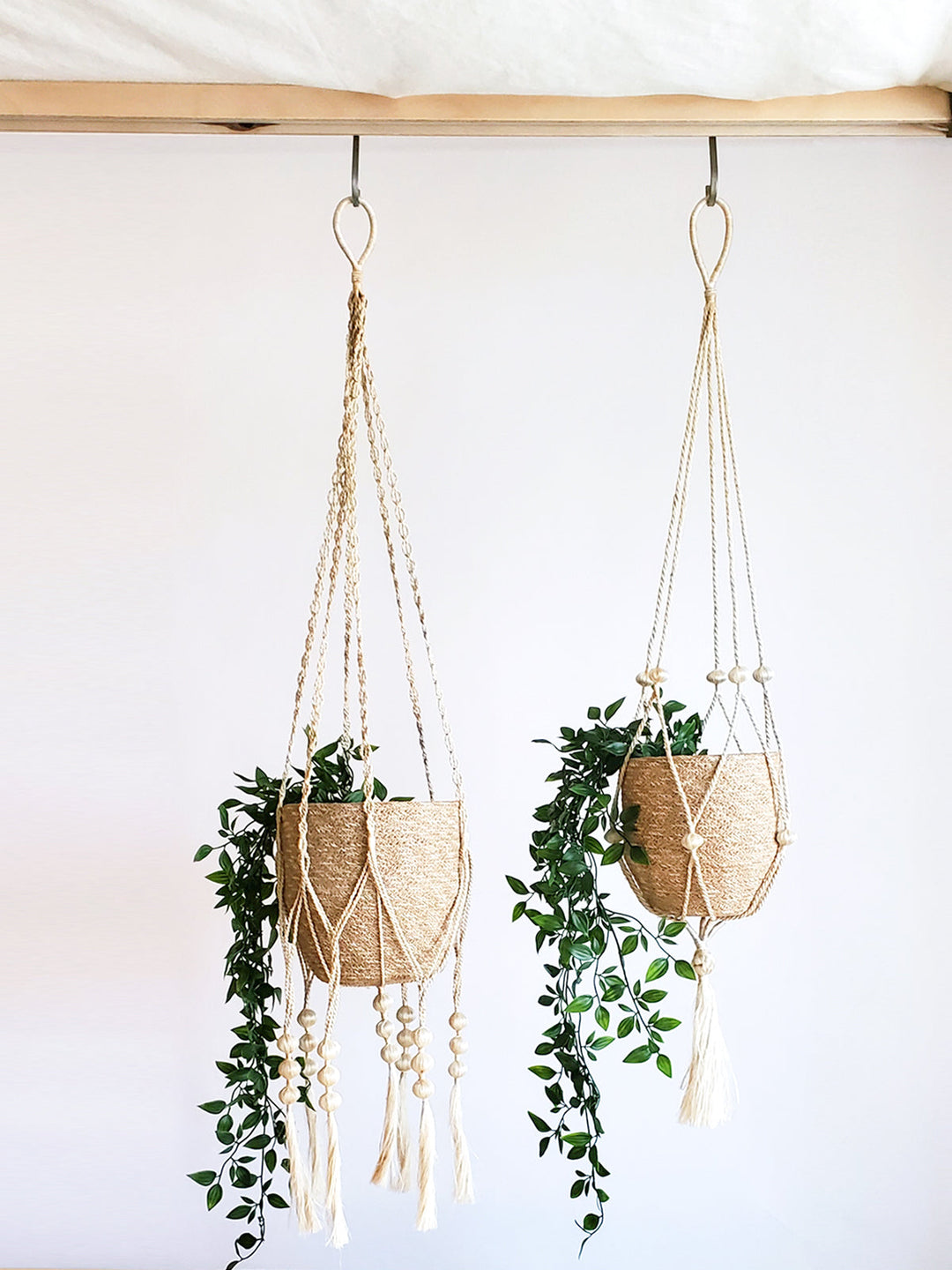 Boho macrame plant hanger holding a potted plant