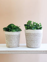 Load image into Gallery viewer, Agora Plant Basket - White - Bush &amp; Briar
