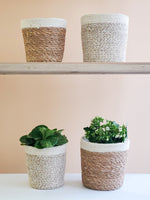 Load image into Gallery viewer, Agora Plant Basket - White - Bush &amp; Briar
