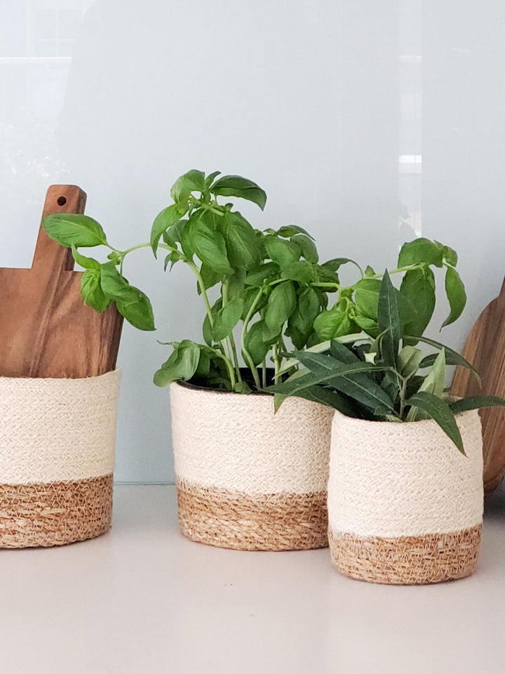 Small natural seagrass round storage basket from DC-KORISSA with woven texture and sturdy handles for organizing space.