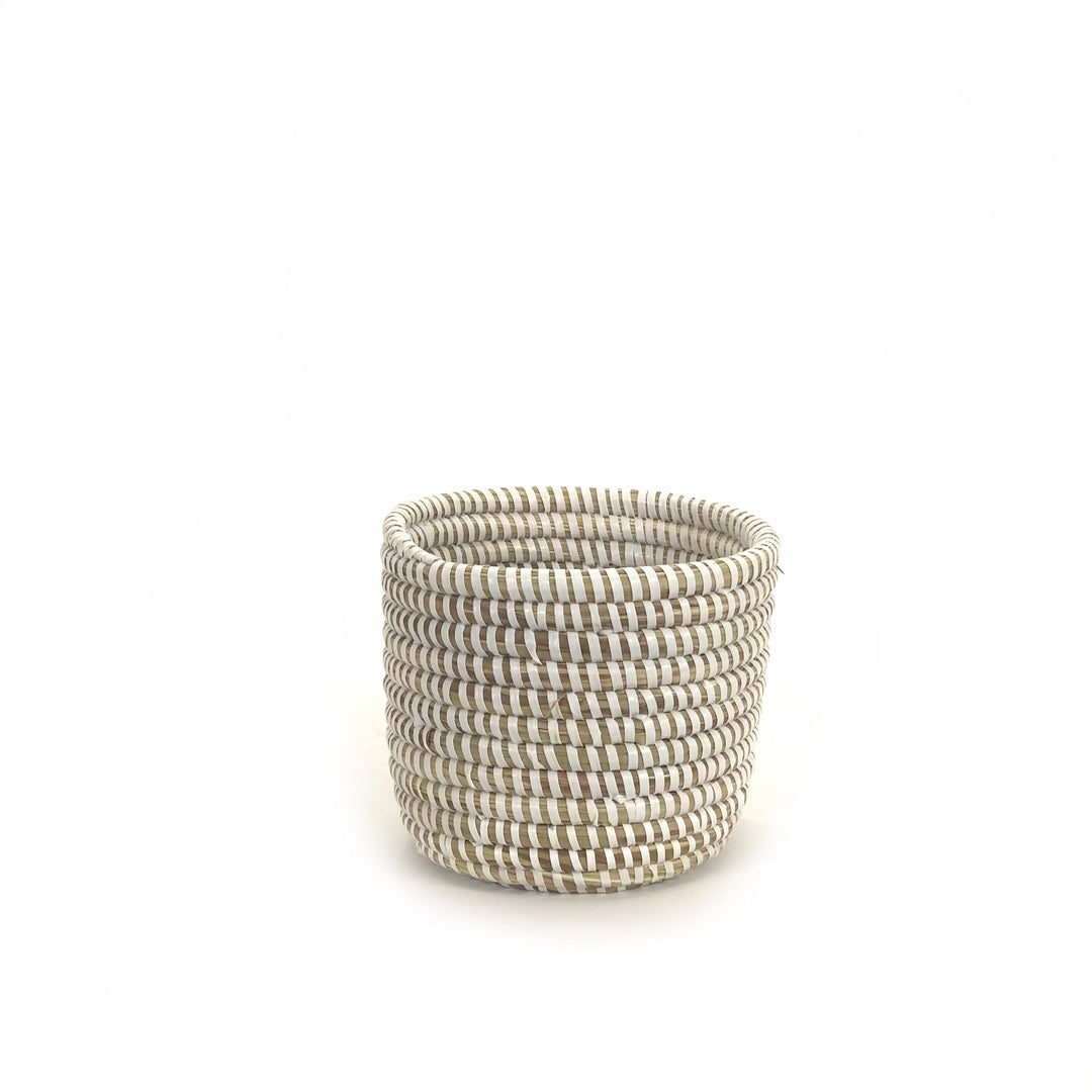 Small white catch-all and planter basket hand-woven in Senegal.