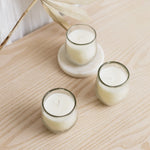 Load image into Gallery viewer, Pebbled Filled Votive Candles - Set of 3 - Bush &amp; Briar
