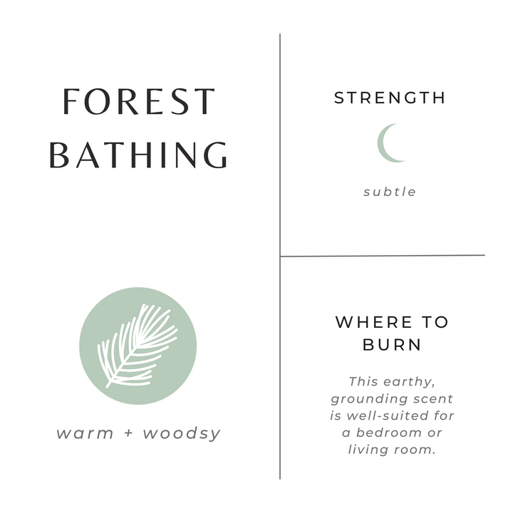 Mini essential oil candle in forest bathing scent with a forest-inspired label, 2 oz brushed gold tin.