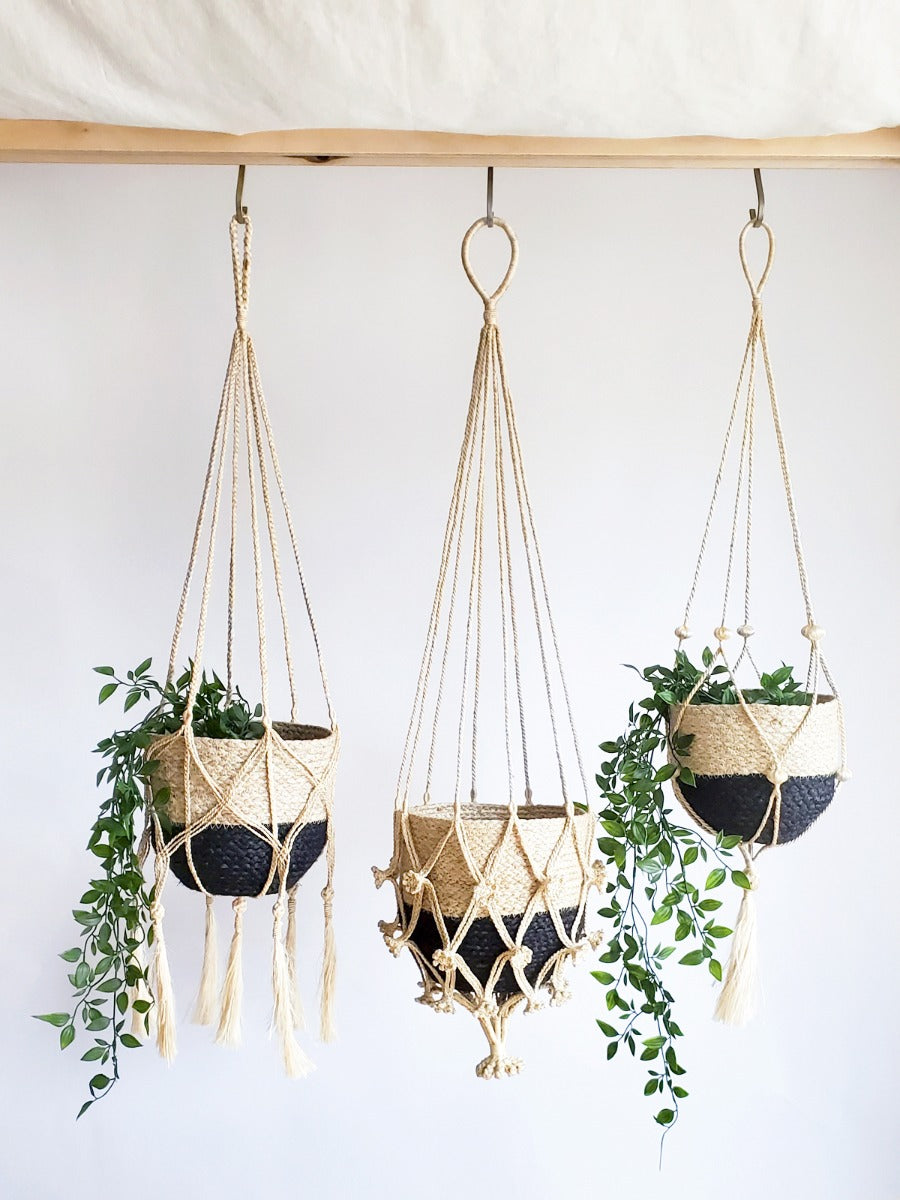 Three jute macrame plant hangers on a rod holding trailing plants
